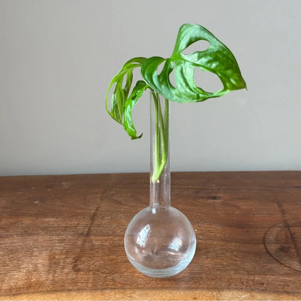 Vintage Clear Glass Propagation Vase Plant Bud Vase
